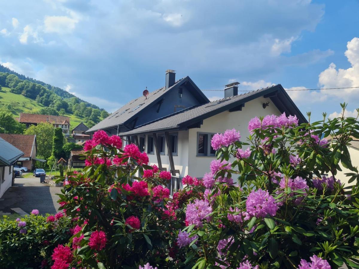 Locations Des 3 Sommets Avec Sauna Et Spa En Alsace Sondernach Exterior foto