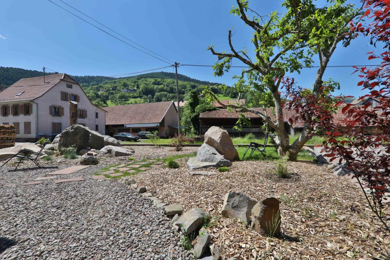 Locations Des 3 Sommets Avec Sauna Et Spa En Alsace Sondernach Exterior foto